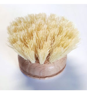 Dish Brush Replacement Head  5cm/2" Wood&Tampico Bristle