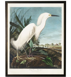 White Egret bookplate
