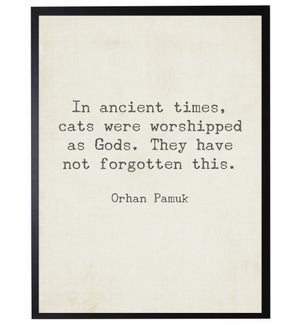 In ancient time quote, Pamuk,