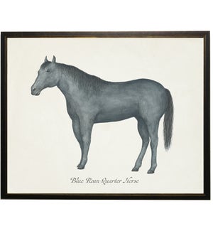 Blue Roan Quarter Horse