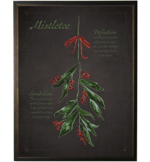 Christmas Mistletoe on black background