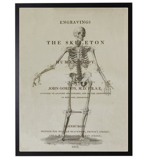 Skeleton on book page poster