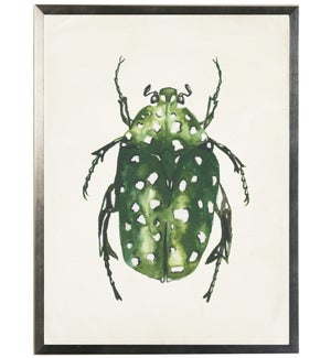 Watercolor green bug