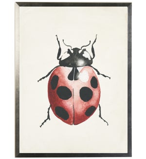 Watercolor ladybug