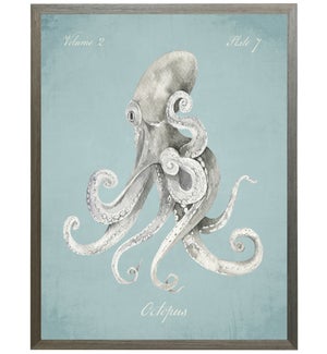 Octopus on spa background