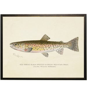 Vintage Rocky Mountain Trout bookplate