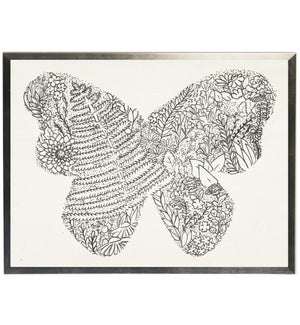 Black and white doodle butterfly on white