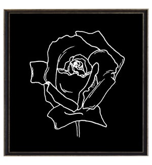 Black and white June rose