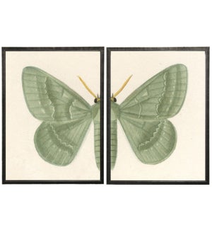 Diptych Green Butterfly