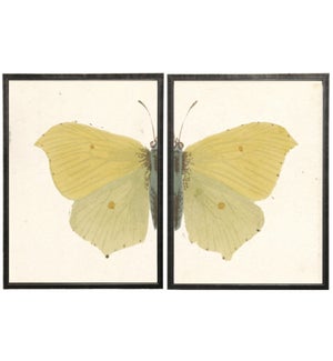 Diptych Yellow Butterfly