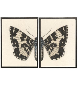 Diptych Black and White Butterfly