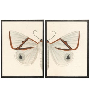 Diptych White and Red Butterfly