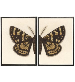 Diptych Black and Brown Butterfly