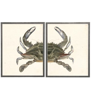 Diptych Green and Gray Crab