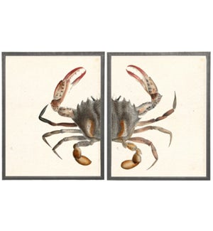 Diptych Red Pincher Crab