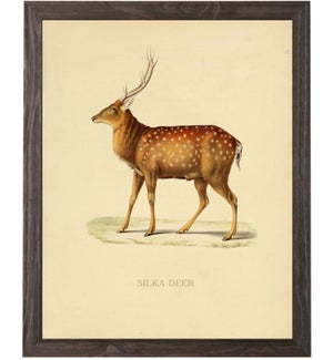 Silka Deer