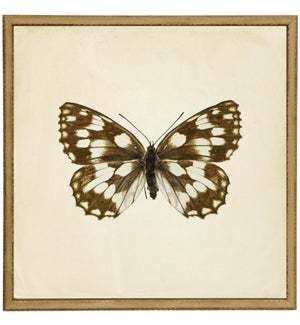 Moth Print 5