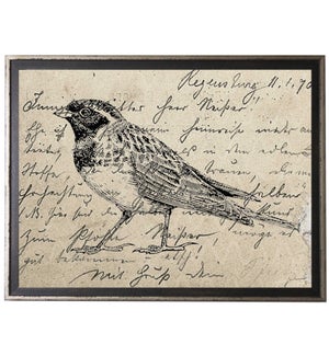 Bird One on calligraphy postcard background