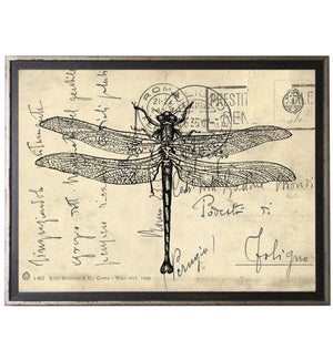 Dragonfly on calligraphy postcard background