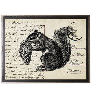 Squirrel on calligraphy postcard background