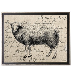 Sheep on calligraphy postcard background