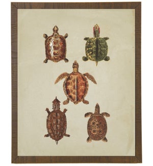 Turtles on linen background