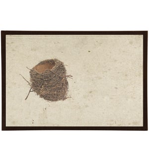 Bird's Nest with Twig