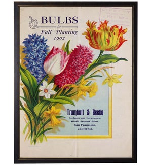Bulb Seed Packet