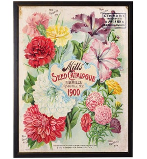 Carnation Seed Packet