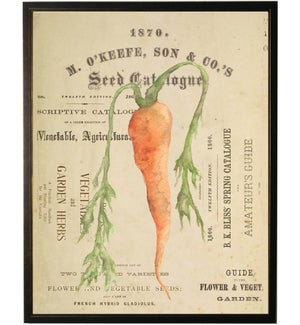 Watercolor Carrot on title page