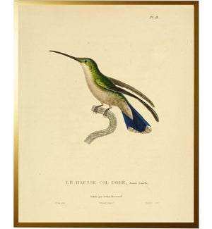 Hummingbird Plate 18