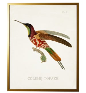 18X24 2440-65 ZF Hummingbird Plate 1 on white