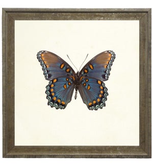 Bright Blue Butterfly with Orange Spots