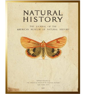 Moth on titlepage