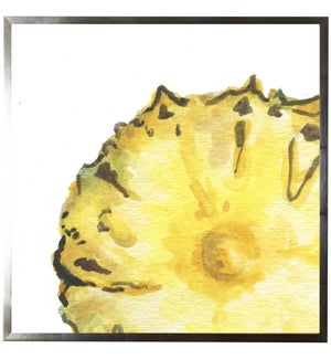 Watercolor pineapple