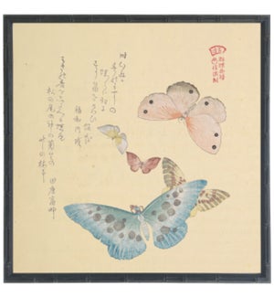 Asian butterfly C