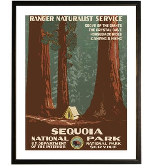 Sequoia travel poster