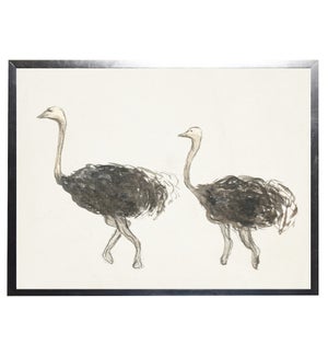 Watercolor ostriches