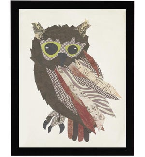 Cut out Owl on white background