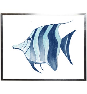 Blue Striped fish