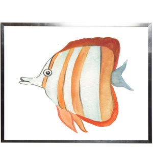 Orange striped fish