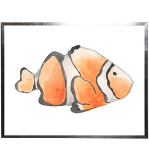 White and orange fish