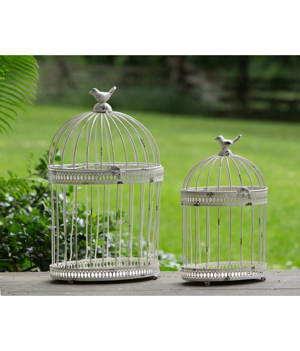 Bird Cages - Off-White