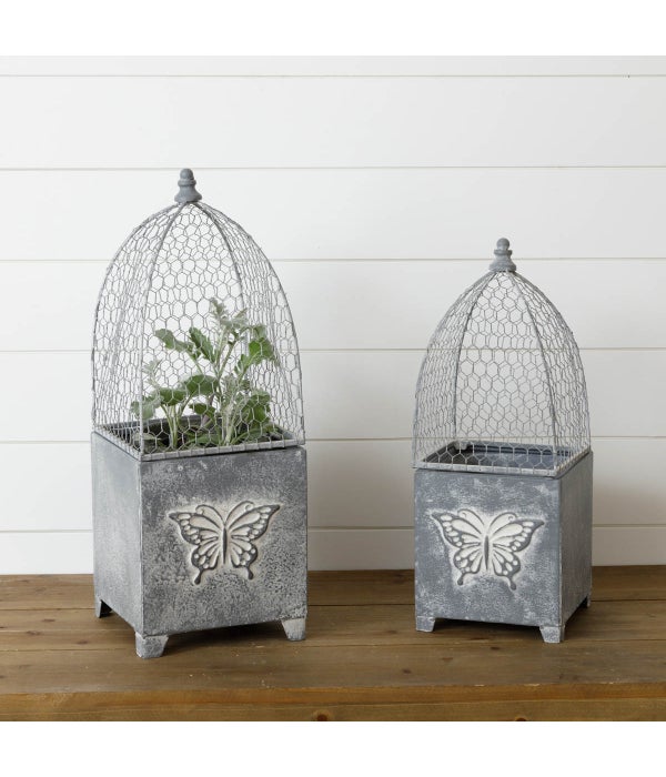Butterfly Planters with Wire Cloche