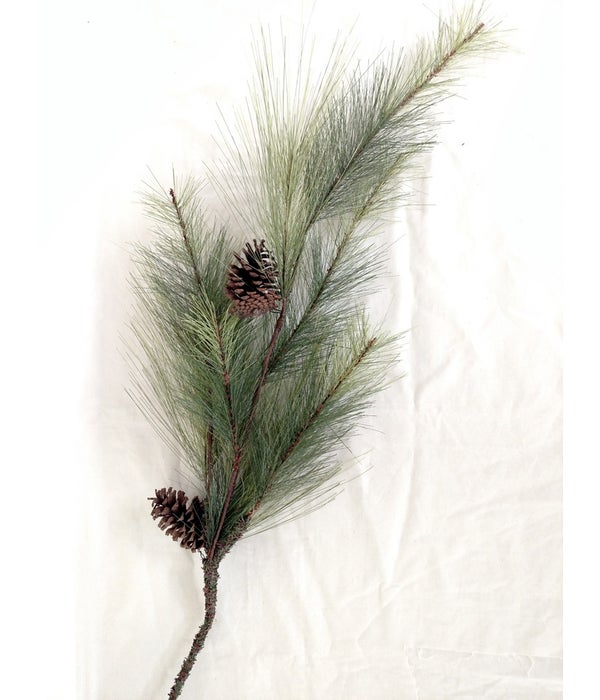 *Pick - Long Pine Needles W/Pinecones