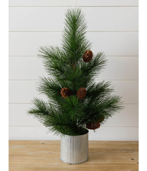 White Pine Tree With Pinecones In Metal Pot