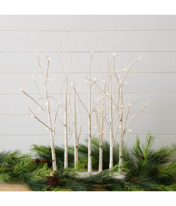 LED Lighted Birch Tree Forest, White - 28 in. H x 24 in. W x 4 in. D