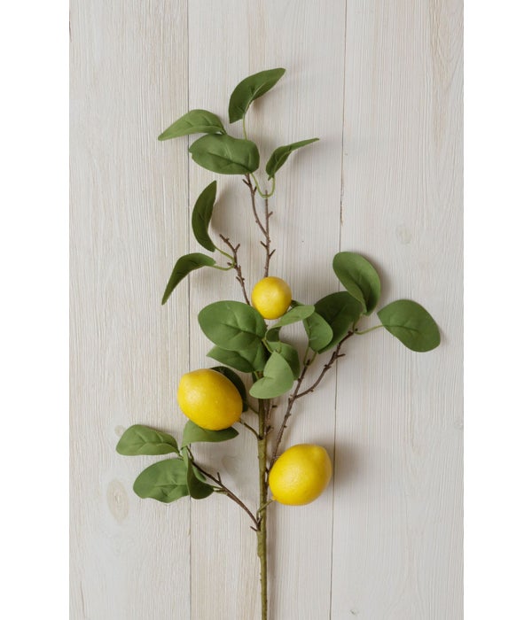 Branch - Lemon