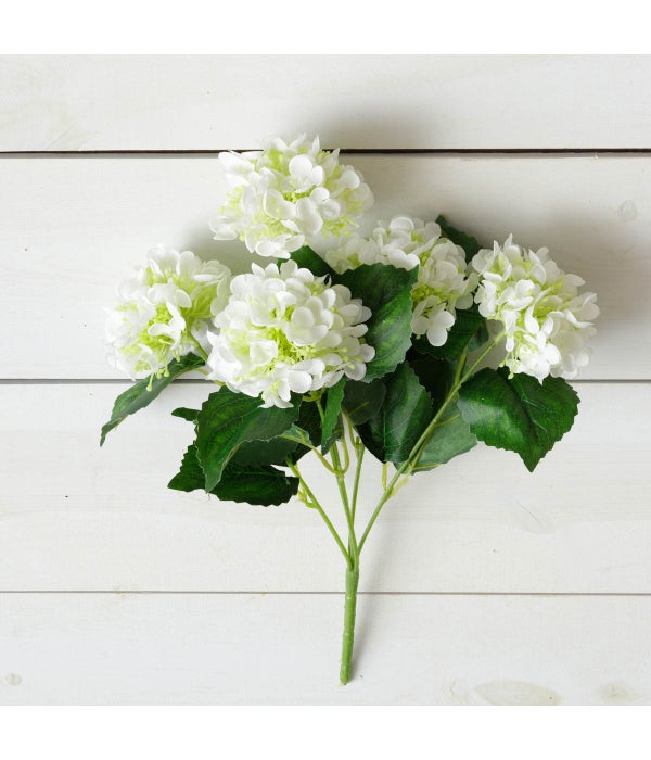 Bunch - Hydrangea, White