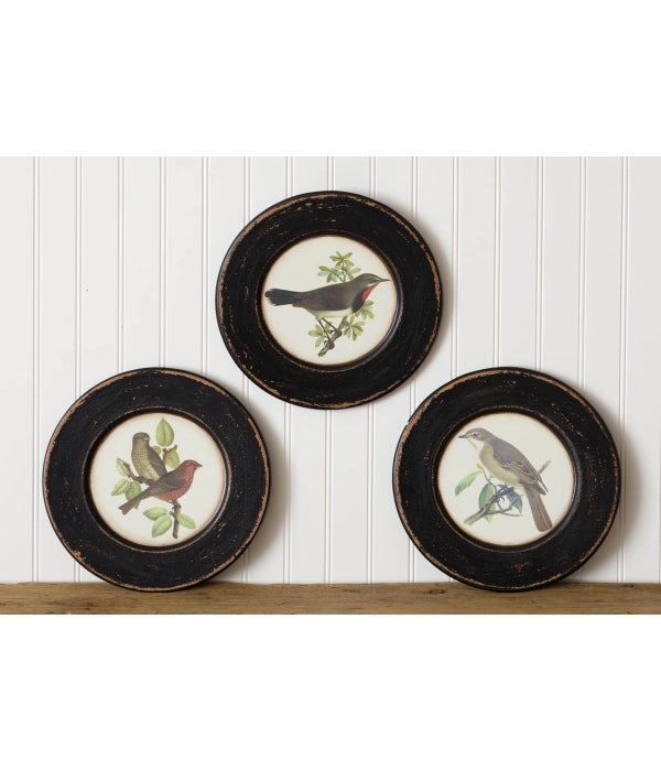 Wooden Plates - Assorted Birds